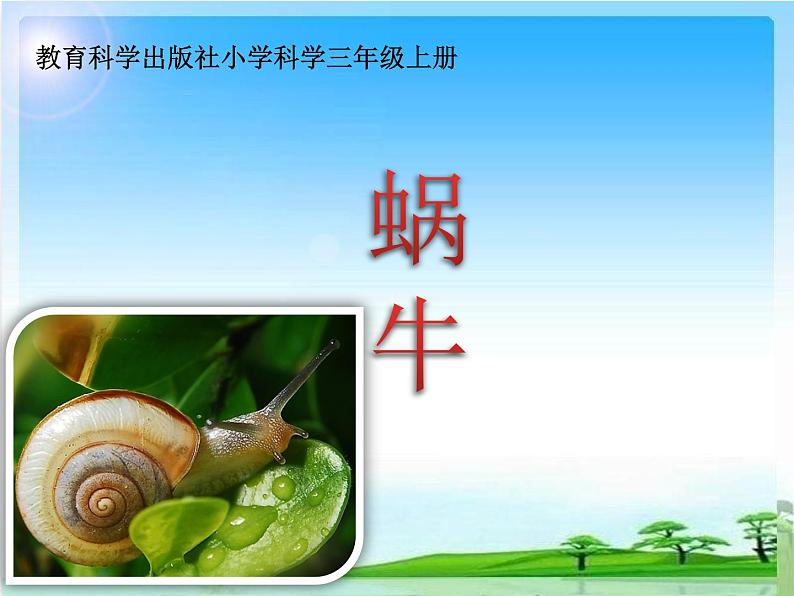 教科版三年级上科学-2.2《蜗牛(一)》(1)课件(26张PPT)第1页