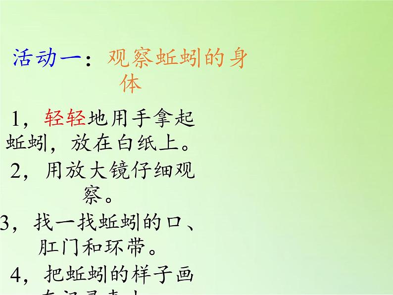 教科版 三年级上科学-2.4蚯蚓 课件(18张PPT)第5页