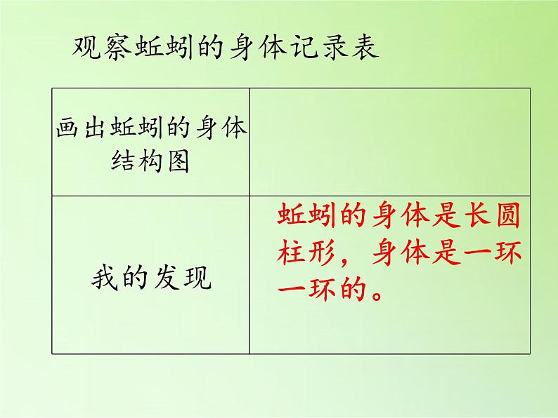 教科版 三年级上科学-2.4蚯蚓 课件(18张PPT)第7页