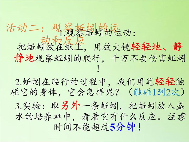 教科版 三年级上科学-2.4蚯蚓 课件(18张PPT)第8页