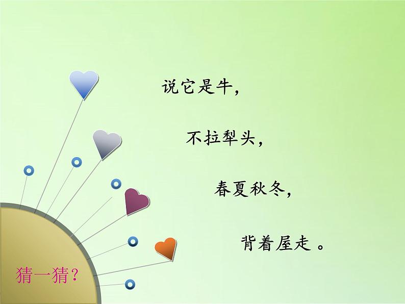 教科版 三年级上科学-2.3蜗牛(二)课件(28张PPT)02