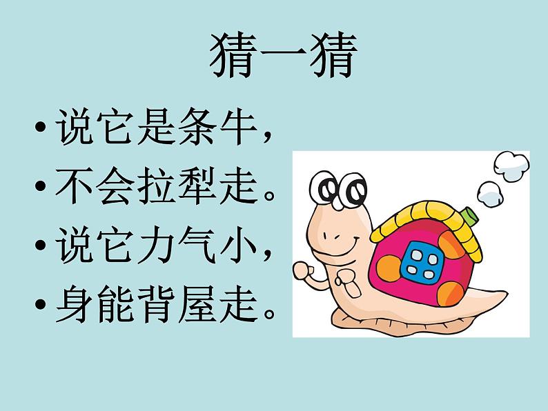 教科版 三年级上科学-2.2蜗牛(一)课件(11张PPT)第2页