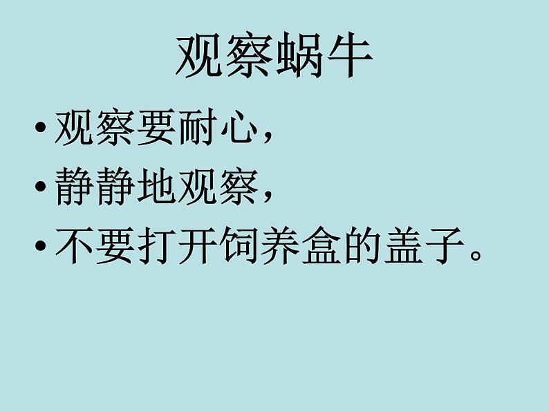教科版 三年级上科学-2.2蜗牛(一)课件(11张PPT)第4页