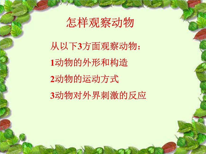 教科版 三年級(jí)上科學(xué)-2.2蝸牛(一)課件(11張PPT)第2頁