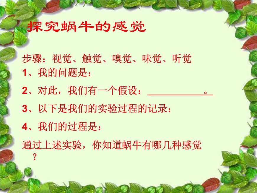 教科版 三年級(jí)上科學(xué)-2.2蝸牛(一)課件(11張PPT)第5頁