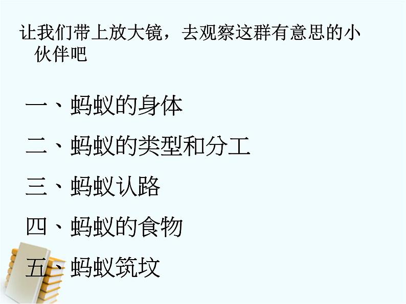 教科版 三年级上科学-2.5蚂蚁 课件(28张PPT)07