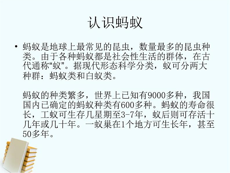 教科版 三年级上科学-2.5蚂蚁 课件(28张PPT)08