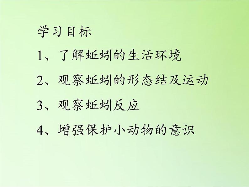 教科版 三年级上科学-2.4蚯蚓 课件(15张PPT)04
