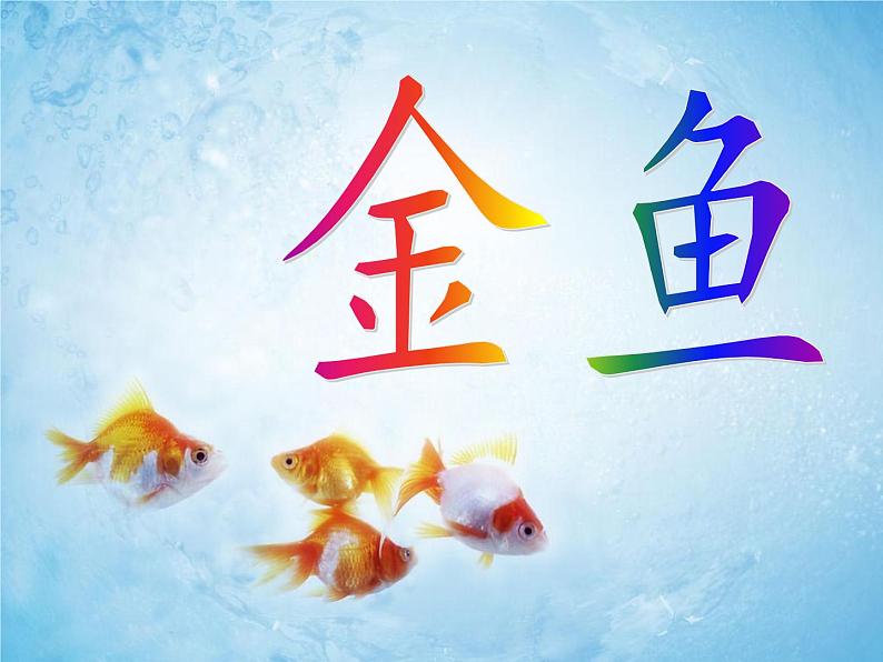 教科版 三年级上科学-2.6金鱼 课件(9张PPT)第2页