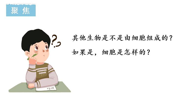 教科版六年级科学上册1.5观察更多的生物细胞课件(24张PPT)+教案(表格式)+实验视频03