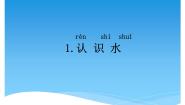 科学一年级下册第一单元 水1 认识水课文内容课件ppt