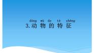 小学科学湘科版 (2017)一年级下册3 动物的特征课文内容ppt课件