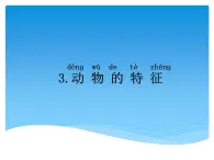 3.3動物的特征 PPT課件+教案+視頻