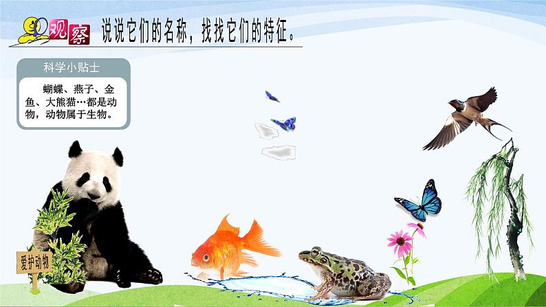 青岛版科学六三制一下4常见的动物 课件PPT02
