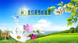 青岛版科学六三制一下8《我们周围的植物》课件PPT