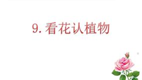 青岛版 (六三制2017)一年级下册9 看花认植物说课课件ppt