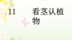 青岛版 (六三制2017)一年级下册第三单元 和植物捏个手11 看茎认植物课文配套课件ppt