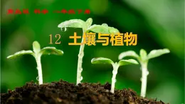 青島版科學(xué)六三制一下 土壤與植物 課件PPT+教案