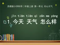 新蘇教版科學二上：1.今天天氣怎么樣 PPT課件 +素材