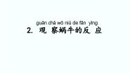 科学二年级上册2 观察蜗牛的反应课堂教学ppt课件