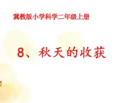 冀教版科学二年级上 8 秋天的收获 课件