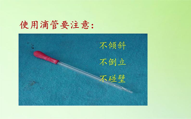 教科版 三年级上科学-3.4它们吸水吗 课件(16张PPT)第5页