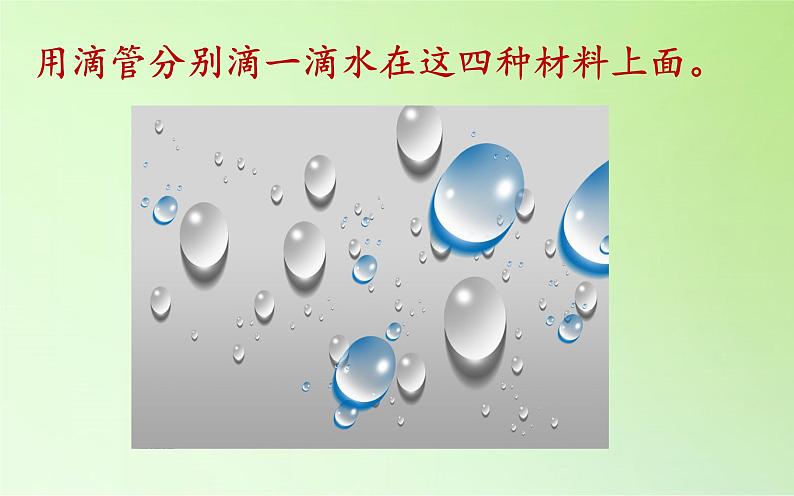 教科版 三年级上科学-3.4它们吸水吗 课件(16张PPT)第6页