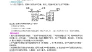 首师大版四年级下册4.燃烧和灭火教案设计