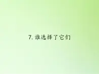 教科版科学六年级上册 4.7谁选择了它们 课件（30张PPT）