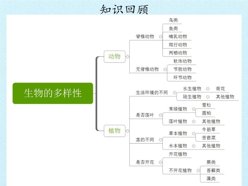 教科版 科学六年级上册 4.8生物的多样性复习 课件（57张PPT）02