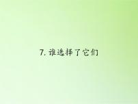 小学科学教科版六年级上册7、谁选择了它们教学演示ppt课件