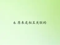 教科版 科学六年级上册 4.6原来是相互关联的 课件（27张PPT）