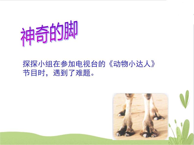 大象版 科学二上 准备单元 这是谁的脚 课件(10张PPT)第2页