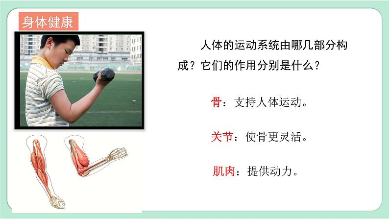 教科版五年级科学上册 第四单元 《健康生活》单元复习课件(15张PPT)06