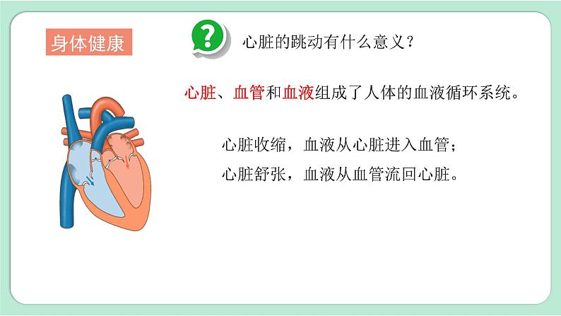 教科版五年级科学上册 第四单元 《健康生活》单元复习课件(15张PPT)07