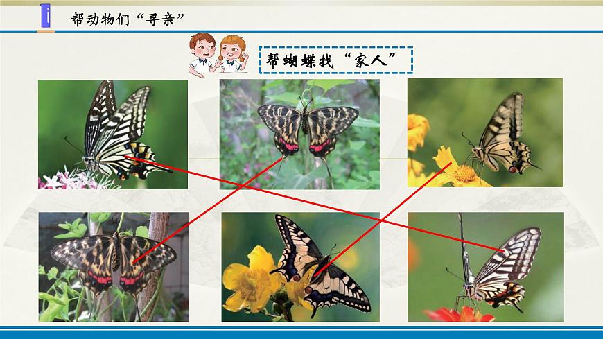 小學(xué)科學(xué)蘇教版六年級(jí)上冊第二單元第5課《生物的遺傳》課件(2021新版)第3頁