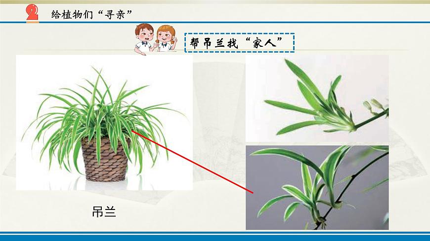 小學(xué)科學(xué)蘇教版六年級(jí)上冊第二單元第5課《生物的遺傳》課件(2021新版)第4頁
