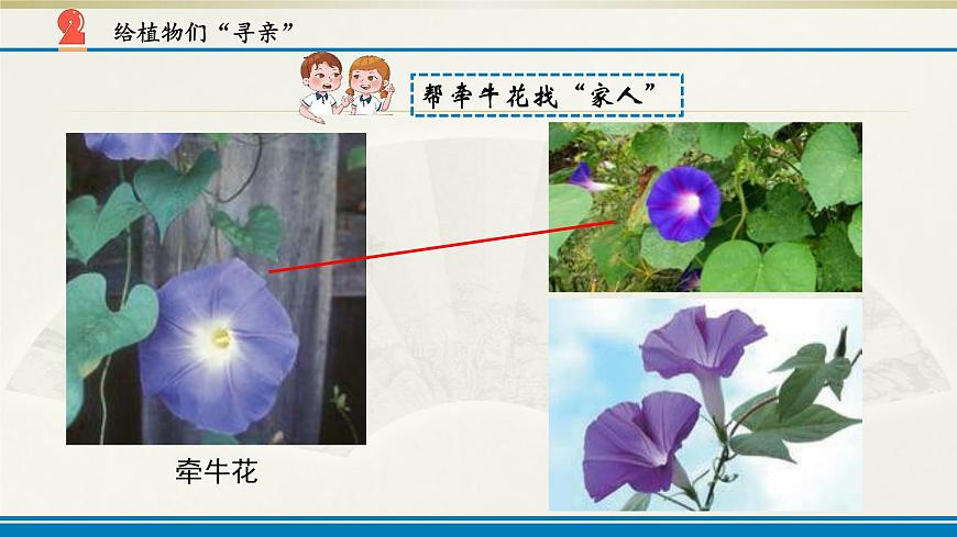 小學(xué)科學(xué)蘇教版六年級(jí)上冊第二單元第5課《生物的遺傳》課件(2021新版)第5頁