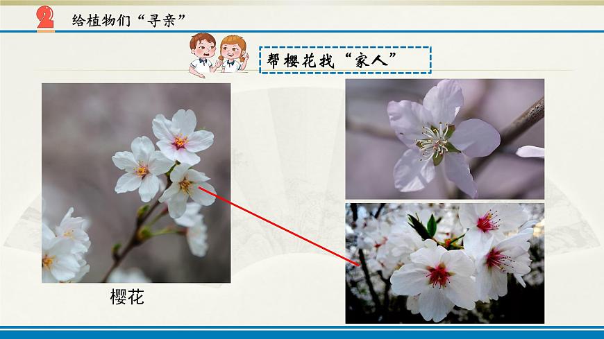 小學(xué)科學(xué)蘇教版六年級(jí)上冊第二單元第5課《生物的遺傳》課件(2021新版)第6頁