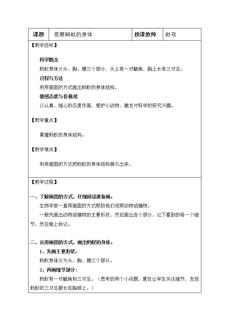三年級(jí)上科學(xué)-2.5觀察螞蟻的身體教案-教科版第1頁(yè)