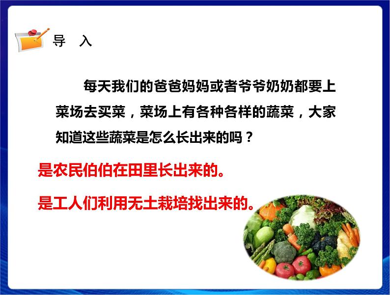 新苏教版科学六年级上册:16人造肥料与现代农业 课件PPT+教案02