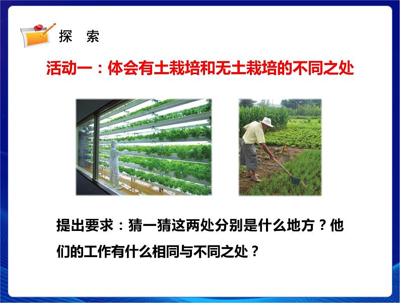 新苏教版科学六年级上册:16人造肥料与现代农业 课件PPT+教案03
