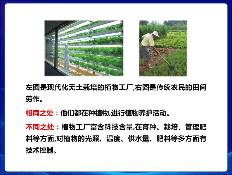 新苏教版科学六年级上册:16人造肥料与现代农业 课件PPT+教案04