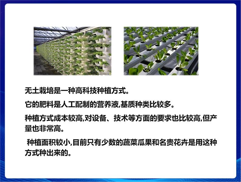 新苏教版科学六年级上册:16人造肥料与现代农业 课件PPT+教案06