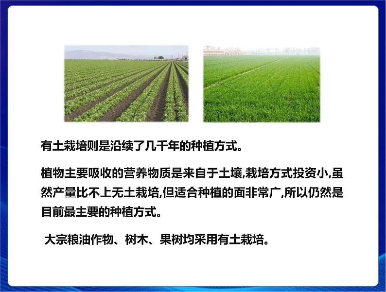 新苏教版科学六年级上册:16人造肥料与现代农业 课件PPT+教案07