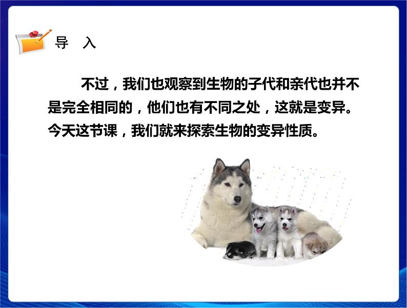 新苏教版科学六年级上册:6生物的变异 课件PPT+教案03
