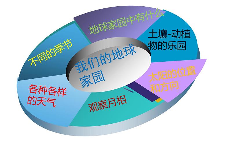 教科版(2017) 二年级上册科学-二年级科学上册知识重点 课件(45张PPT)第4页
