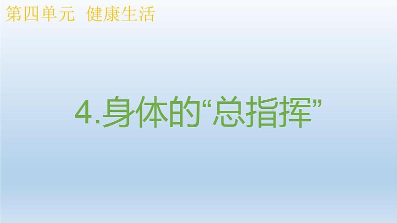 小学科学教科版五年级上册 4.4《身体的“总指挥”》课件(12张PPT)第1页