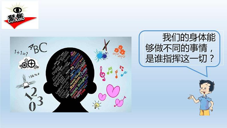 小学科学教科版五年级上册 4.4《身体的“总指挥”》课件(12张PPT)第2页
