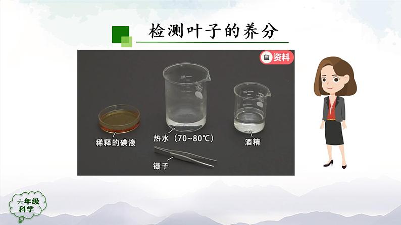 新人教鄂教版科学六上:2.5 植物的光合作用(2课时) PPT课件+视频05